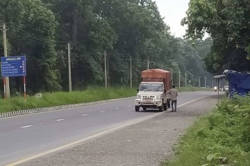 EU’s ‘Made in Europe’ plan raises concerns among Honda, Toyota