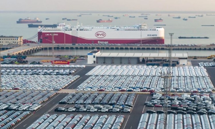BYD faces eight months of falling sales even as exports surge
